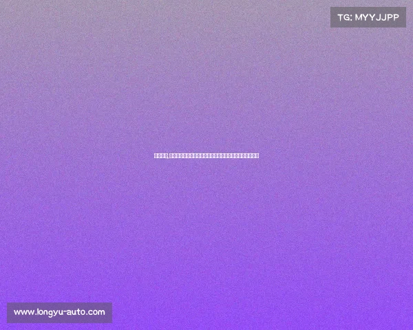 银川赛事,银川国际赛事盛典激情启航黄河之畔竞技角逐共享荣耀时刻